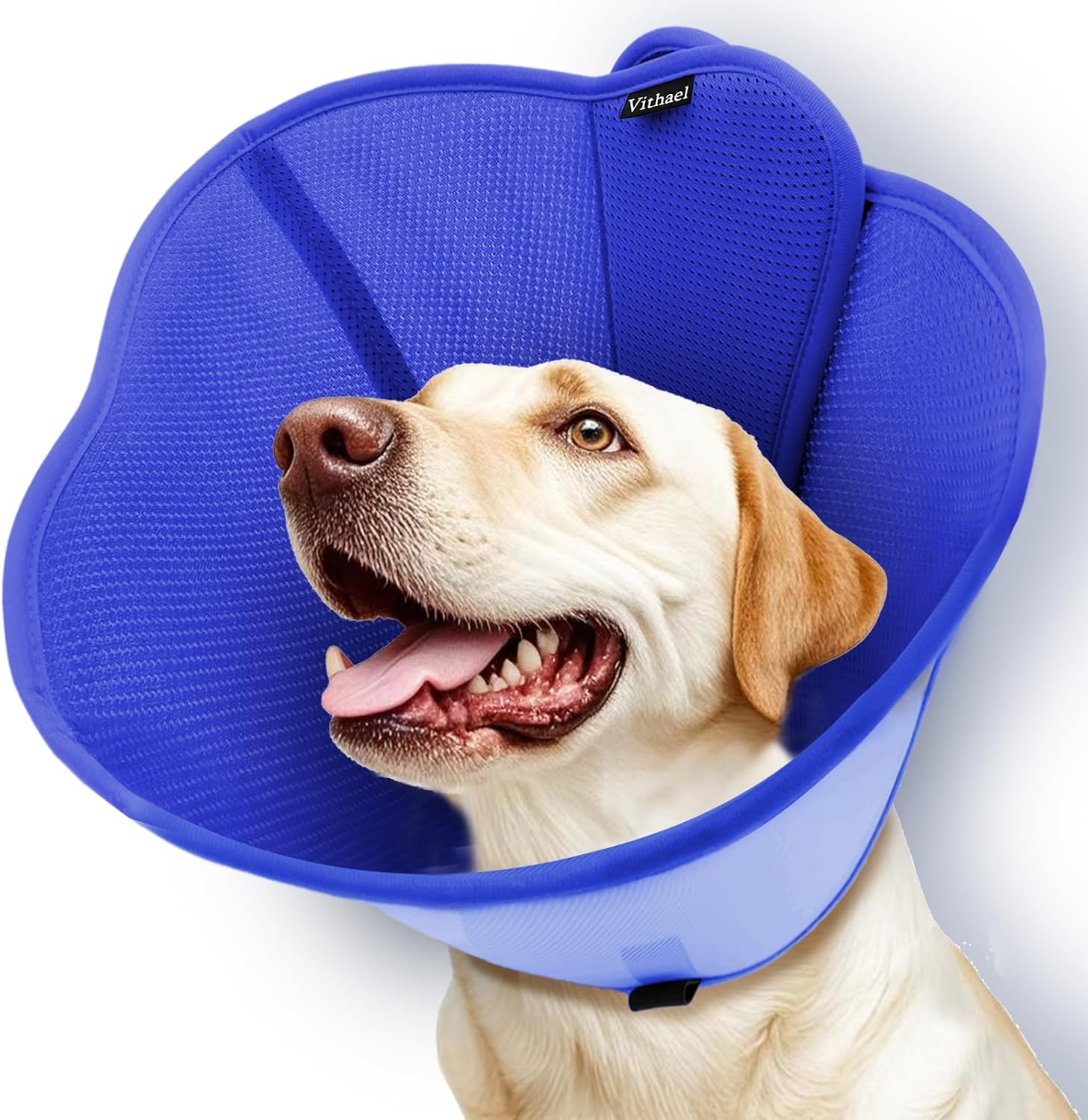 Soft Pet Recovery Collars — Pet Care Supply Stores