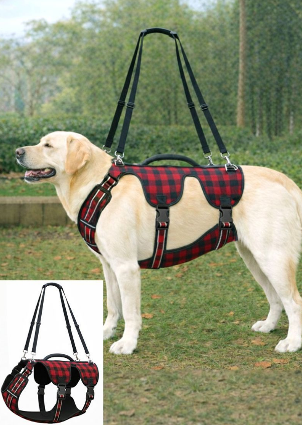 auxiliary belt