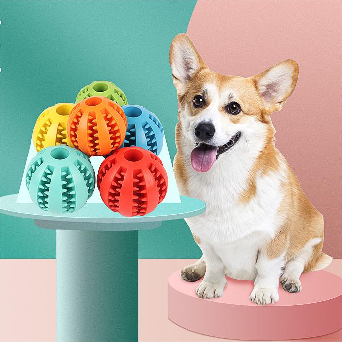 Dog molar ball