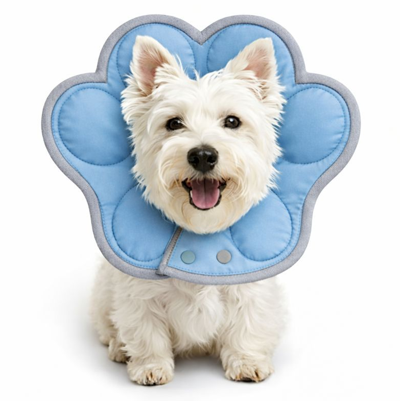 Dog shield