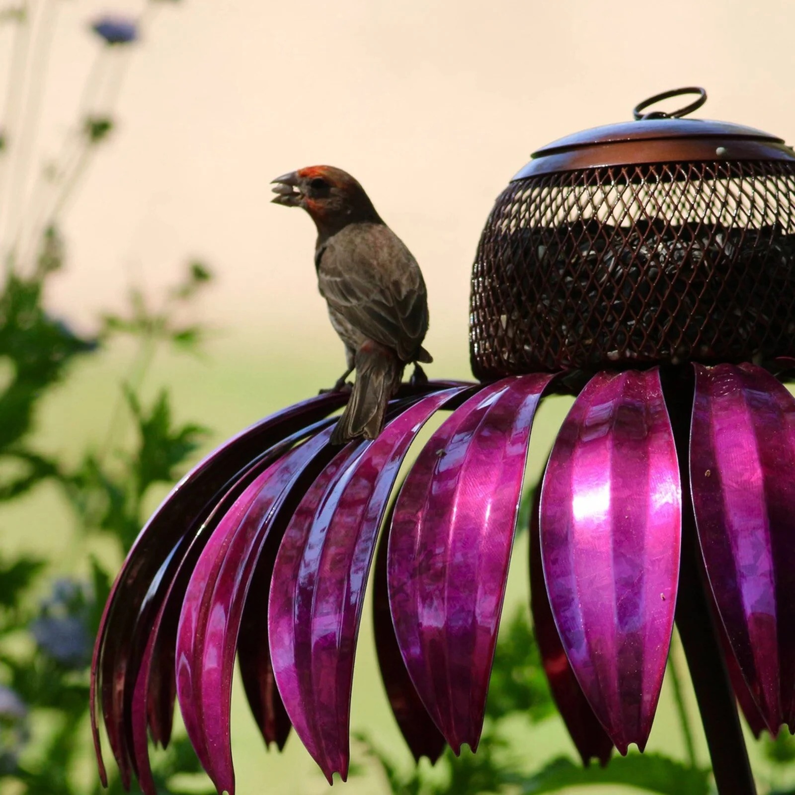Coneflower Bird Feeder