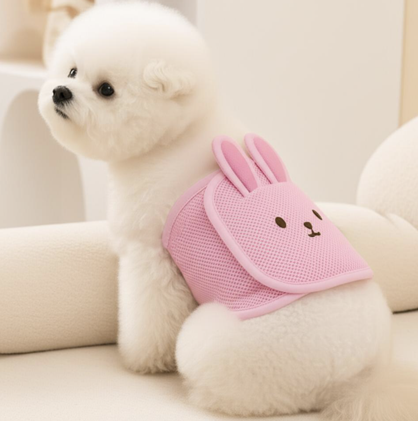 Male dog diaper pants K094