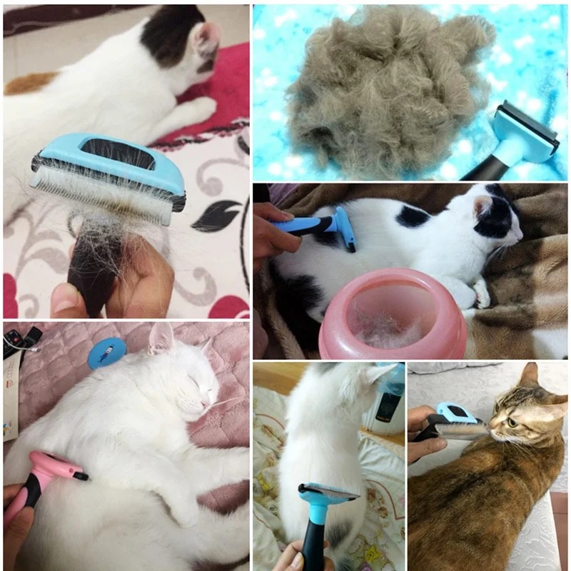 Pet Comb
